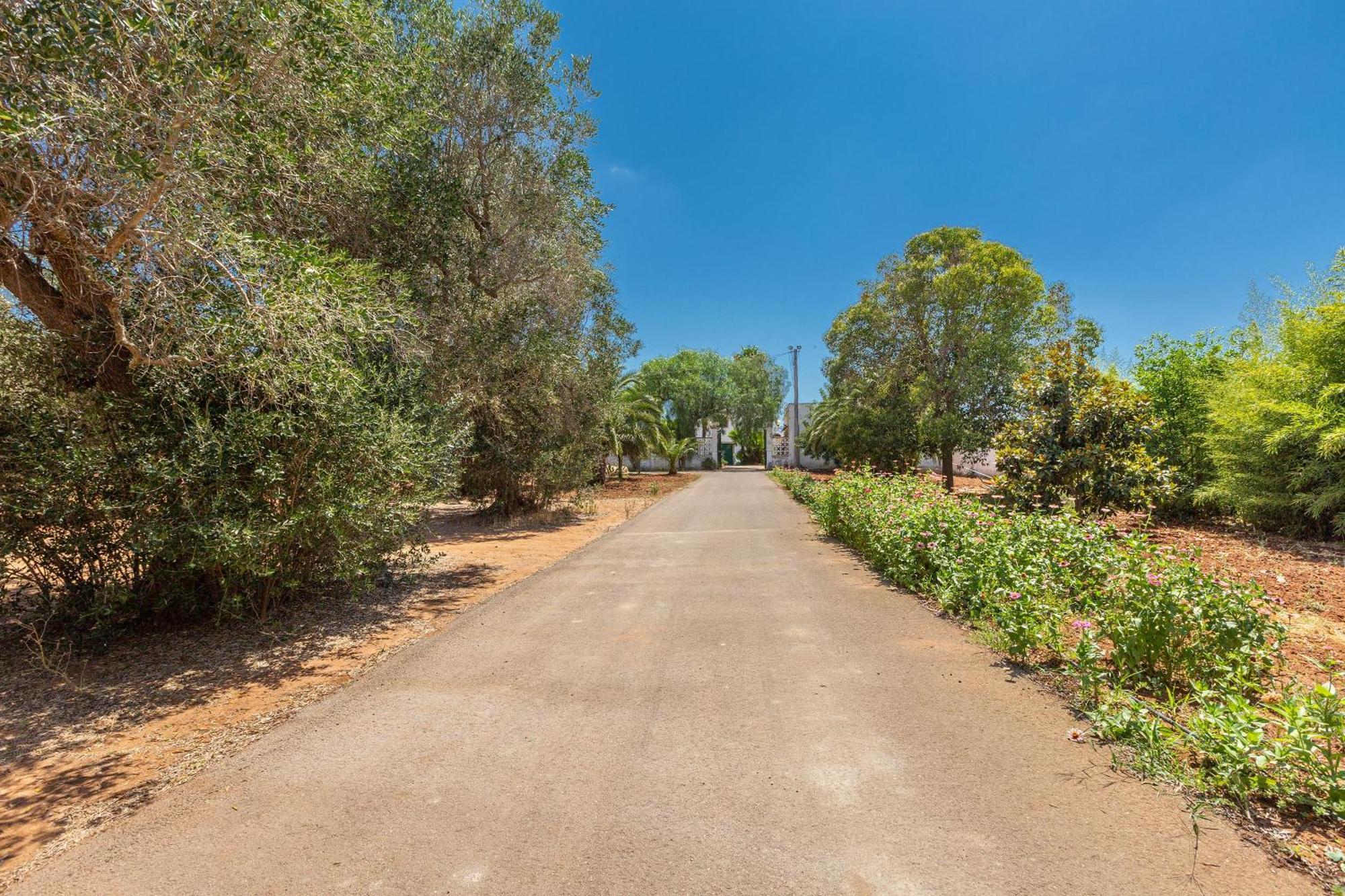 Masseria Sierri By Perle Di Puglia سان بانكرازيو سالنتينو المظهر الخارجي الصورة